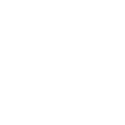 預(yù)定發(fā)貨 預(yù)定發(fā)貨